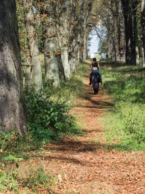 Genç kız bir karanlık bir sokakta sonbahar güneşli bir günde Binicilik