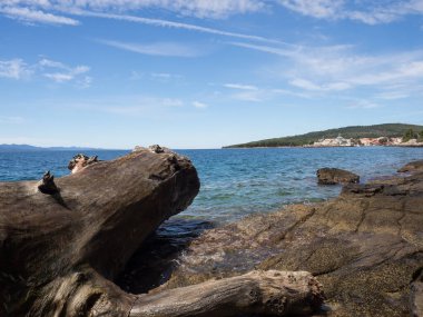Taş kıyısında bir sahil, Hvar Adası, Hırvatistan yalan ölü ağaç görünümünü