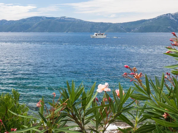 Boat Passing Shore Hvar Island Croatia Sunny Summer Day View — Stock Photo, Image