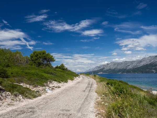 Way Beautiful Coast Hvar Island Croatia Fresh Green Grass Blue — Stock Photo, Image