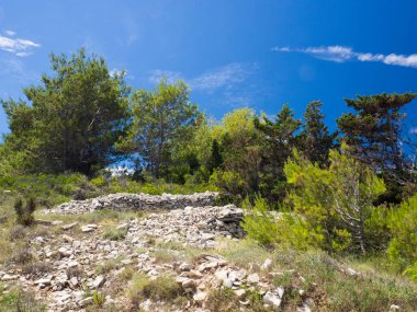 Hvar Adası, taze yeşil çimen, mavi gökyüzü ve dağlar ile Hırvatistan güzel kıyısında bir yol