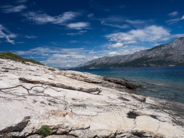 Taş kıyı ve ağaç dalı, Hvar adası, Hırvatistan