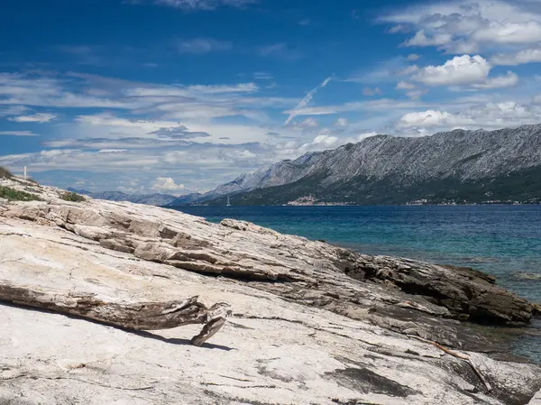 Stone shore and tree branch, Hvar island, Croatia — Stock Photo, Image
