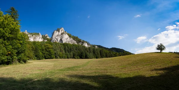 The sulov βράχια, φυσικό καταφύγιο στη Σλοβακία, πανορομά με βράχους και λιβάδια — Φωτογραφία Αρχείου