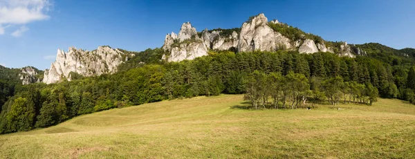 Суловы скалы, природный заповедник Словакии, панорама со скалами и лугом — стоковое фото