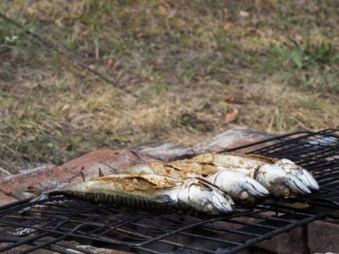 Uskumru balık bahçe partisinde yangın ızgara