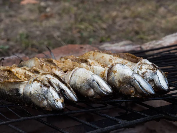 Ryba makrela z grilla na ognisko na imprezie ogrodowej — Zdjęcie stockowe