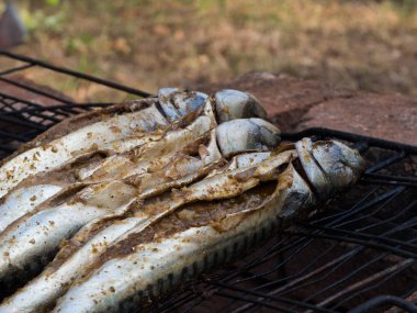 Uskumru balık bahçe partisinde yangın ızgara