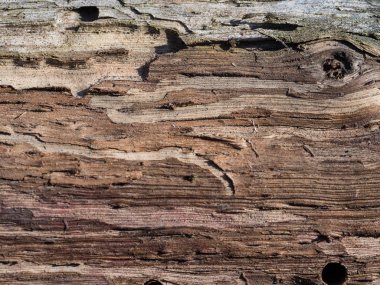 Eski ağaç ahşap textrue arka plan