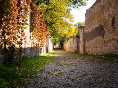 Sonbahar renkli yaprakları ve ağaçları ile parklar arasında eski yol