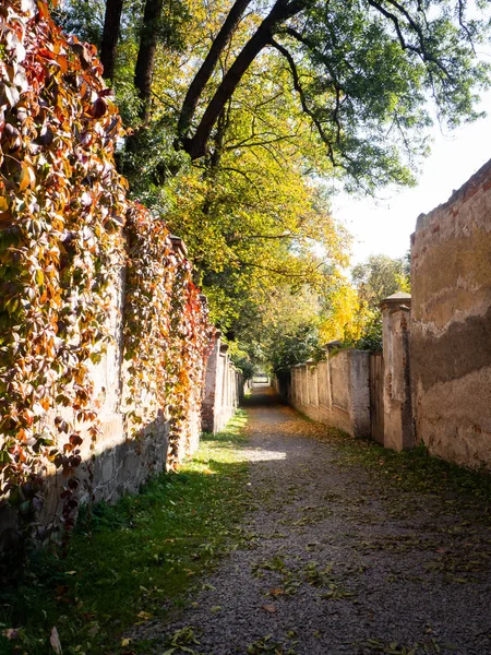 Ancien sentier entre les parcs avec des feuilles et des arbres colorés d'automne — Photo