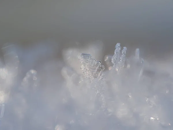 Primer plano de los cristales de hielo congelados en invierno — Foto de Stock