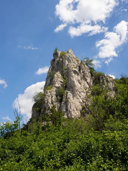 Palava Koruma Alanı, Güney Moravya, Çek Cumhuriyeti 'nde yaz mevsiminde kireçtaşı kütlesiyle manzara
