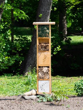 Böcek oteli, böcekleri korumak için ağaçtan yapılmış bir ev.