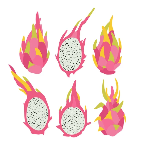 Vektor Illustration Von Rosa Drachenfrüchten Und Der Hälfte Der Drachenfrüchte — Stockvektor