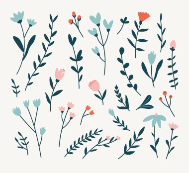 Farklı çiçek ve dalların bej arkaplandaki kırmızı, mavi ve pembe renklerin vektör çizimi. El çizimi karalama seti. Çiçek seti bej bir arkaplanda izole edildi.