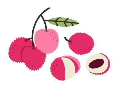 Pembe litchi 'nin vektör çizimi ve beyaz arka planda izole edilmiş litchi' nin yarısı. El çizimi vektör litchi seti. Web ve yazdırma tasarımı için tropikal meyve çizimi.