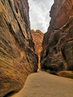 Ladin dallarında yağmur damlaları