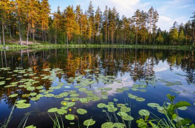 Gün doğumu ve göl