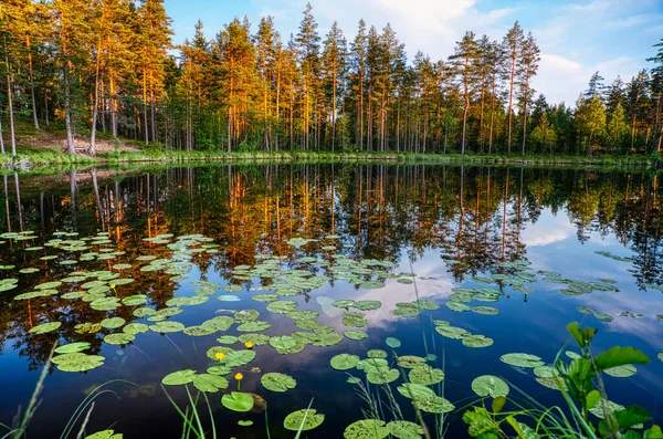 Gün doğumu ve göl