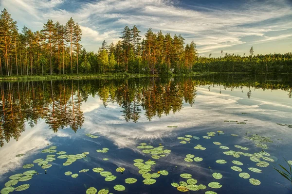 Jezioro Lesie — Zdjęcie stockowe