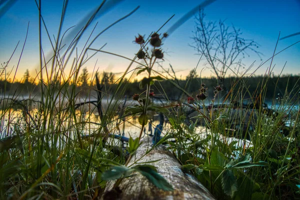 Amanecer Sobre Lago Del Bosque —  Fotos de Stock