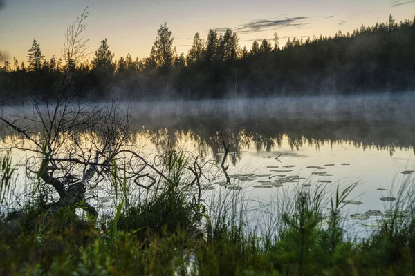 Mglisty Poranek Nad Jeziorem Leśnym — Zdjęcie stockowe