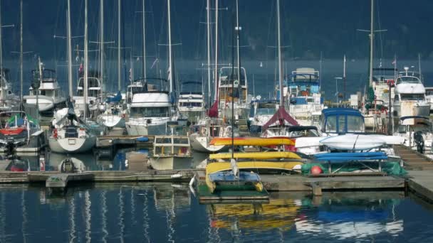 Schwimmender Hafen Mit Vielen Booten — Stockvideo