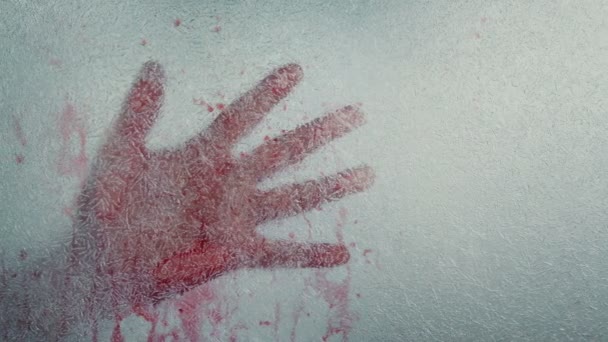 血腥的手冻在冰上 — 图库视频影像