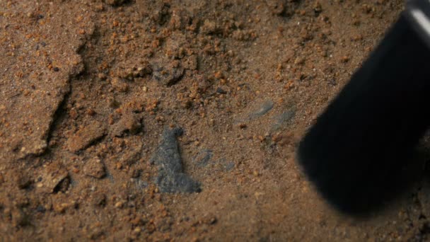 Εκσκαφή Νύχι Απολίθωμα Δεινοσαύρου — Αρχείο Βίντεο