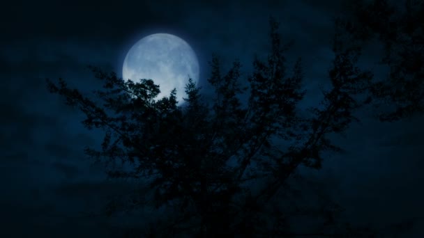 夜の木の上の後ろに大きい月 — ストック動画