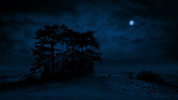 Yüzük Tepenin Gece Ağaçlarının — Stok video