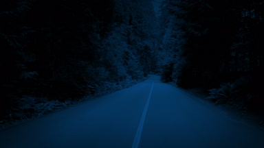 Geceleri ağaçlar üzerinde orman yolu boyunca yükselen