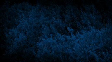 Hafif esinti gece ağaçlarda