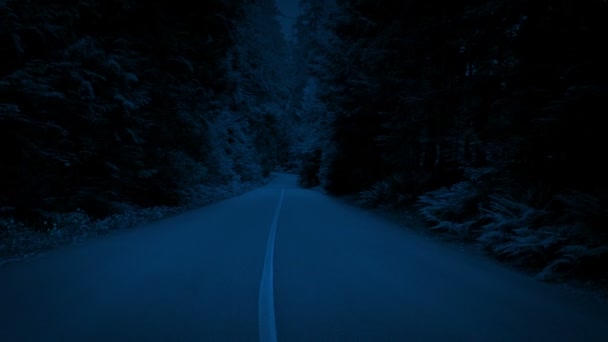 Folheando Longo Árvore Alinhado Estrada Noite — Vídeo de Stock