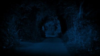 Geceleri huzurlu kırsal yol