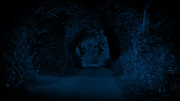 夜の静かな田舎道 — ストック動画