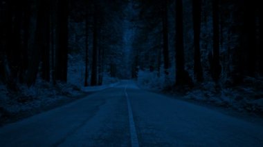 Geceleri orman yolu üzerinde yükselen