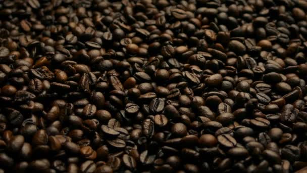 Rich Dark Coffee Beans Moving Shot — Stock Video