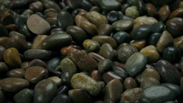 Pebbles Molhados Perto Praia — Vídeo de Stock