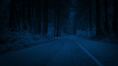 Karanlık Orman yol geçiş