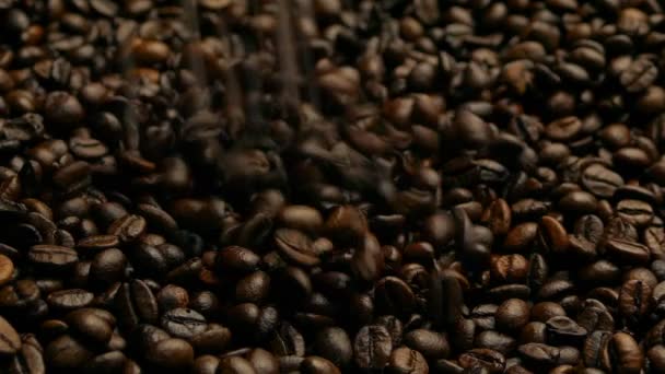 Versare Chicchi Caffè Nel Pelo Colpo Movimento — Video Stock