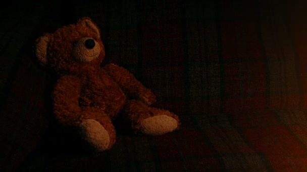 Teddy Sul Divano Alla Luce Del Fuoco — Video Stock