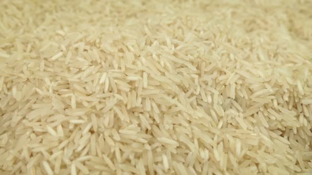 Ρύζι Grains Μετακίνηση Shot — Αρχείο Βίντεο