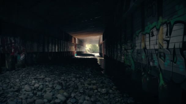 Movendo Através Grungy Underpass Com Graffiti — Vídeo de Stock