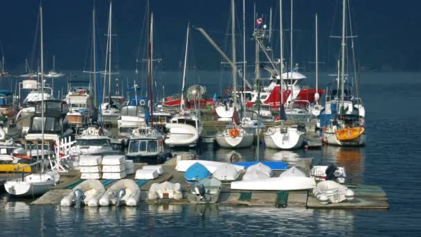 Dock Lot Sailing Boats — стоковое видео