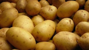 Patates kazık atış taşıma