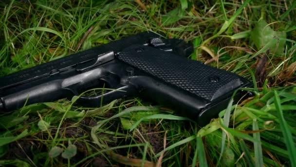 草の中の銃の移動ショット — ストック動画
