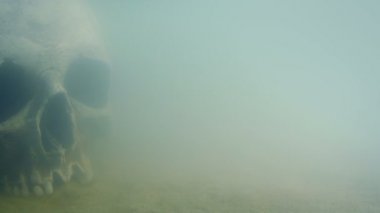 Eski kafatası sualtı hareket atış