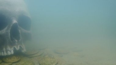 Eski kafatası ve sikkeler üzerinde deniz tabanı